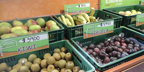 LONCHERITA, carnes, frutas y verduras