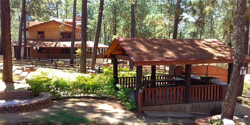 CABAÑAS EN MAZAMITLA Lujo en el bosque