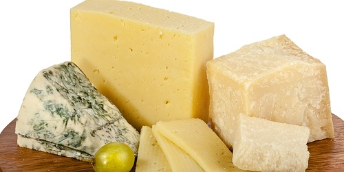 LA NUOVA ZABBINA PRODUZIONE LATTE FORMAGGI RICOTTA