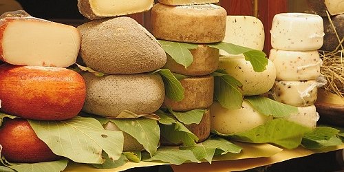 LA NUOVA ZABBINA PRODUZIONE LATTE FORMAGGI RICOTTA