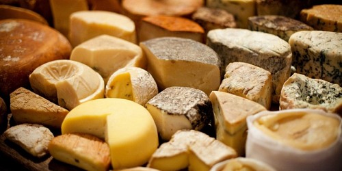 LA NUOVA ZABBINA PRODUZIONE LATTE FORMAGGI RICOTTA