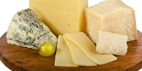 LA NUOVA ZABBINA PRODUZIONE LATTE FORMAGGI RICOTTA