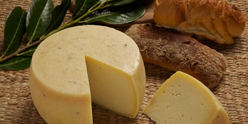 LA NUOVA ZABBINA PRODUZIONE LATTE FORMAGGI RICOTTA