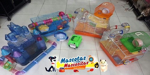 Mascotas Máscositas