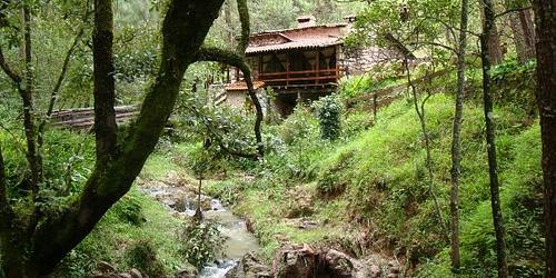 VENTA DE TERRENOS EN MAZAMITLA