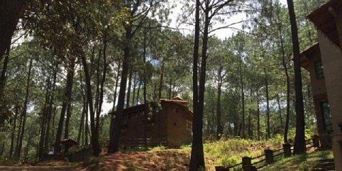 VENTA DE TERRENOS EN MAZAMITLA