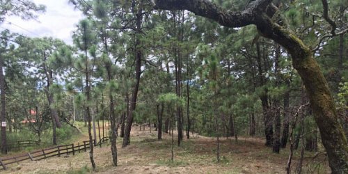 VENTA DE TERRENOS EN MAZAMITLA