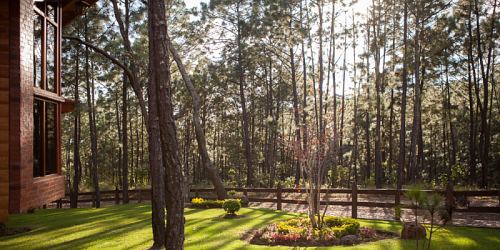 VENTA DE TERRENOS EN MAZAMITLA