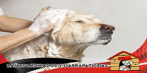 Tienda de Mascotas CAN HOUSE