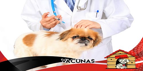 Tienda de Mascotas CAN HOUSE