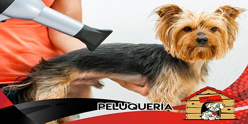 Tienda de Mascotas CAN HOUSE