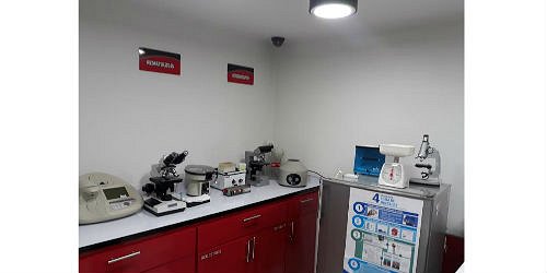 LABORATORIO CLINICO MODELIA-HAYUELOS DOMICILIARIO