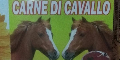 MACELLERIA DI PACINO GIUSEPPE