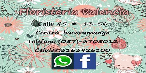 Floristeria y Eventos Sociales Valencia