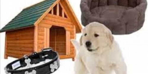 CLINICA_MASCOTAS_ VETERINARIA