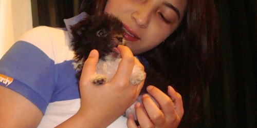 CLINICA_MASCOTAS_ VETERINARIA