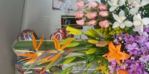 Matas y Flores Distribuidora