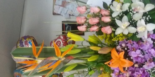 Matas y Flores Distribuidora