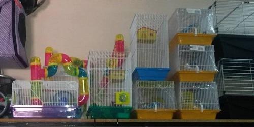 Pets Oasis
