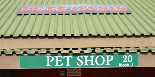 Pets Oasis