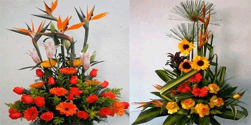 Floristeria y Relieves Santafe