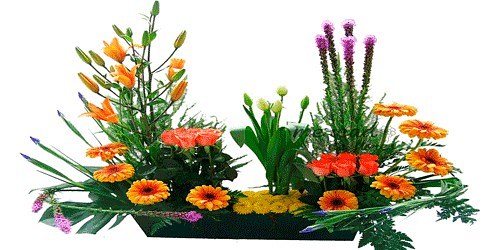 Floristeria y Relieves Santafe