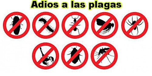 FUMIGACIONES FUMIJET