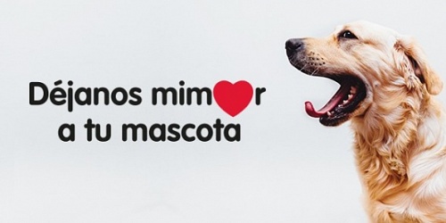 TERRANOVACNC105.  Piensos para Perros y Gatos. Peluquería 