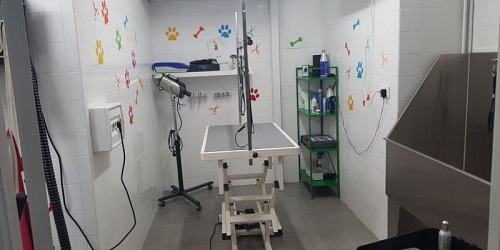 TERRANOVACNC105.  Piensos para Perros y Gatos. Peluquería 