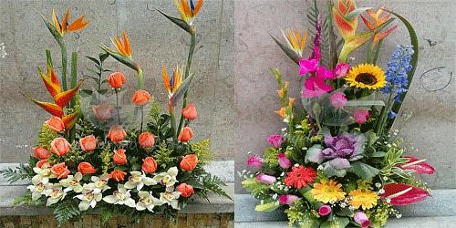 Floristeria Angelitos