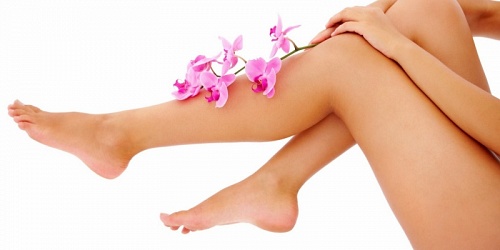 Bienestar Salud y Belleza