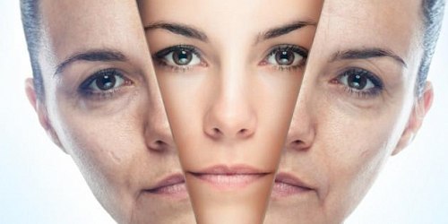 Bienestar Salud y Belleza
