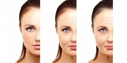 Bienestar Salud y Belleza