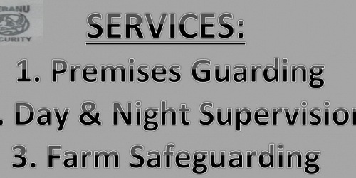 Veranu Security