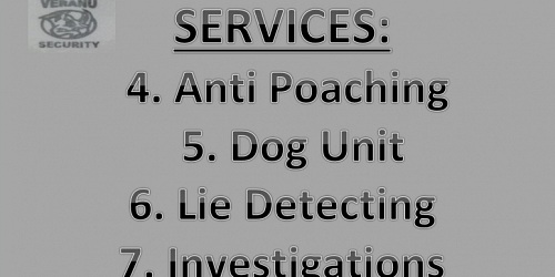 Veranu Security