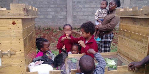 Gracefield Schools Kindergarten