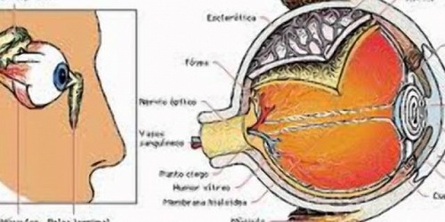 Optica De La Espriella