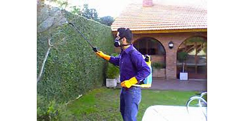 FUMIGACIONES FUMICASA