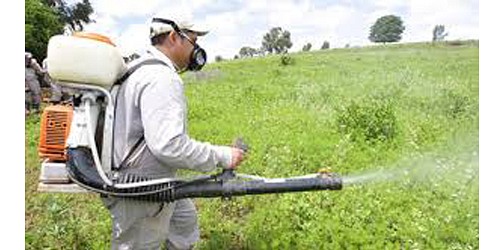 FUMIGACIONES FUMICASA