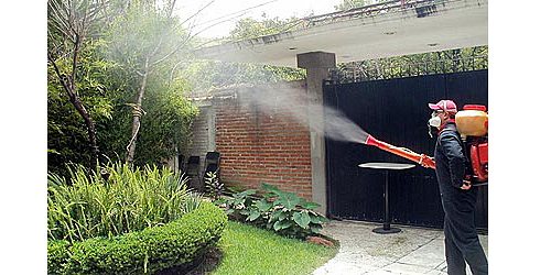 FUMIGACIONES FUMICASA