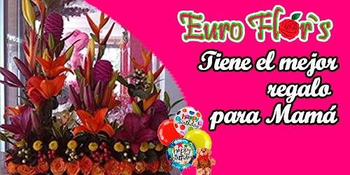 EURO FLOR´S