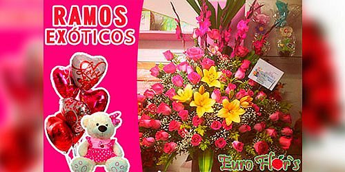 EURO FLOR´S