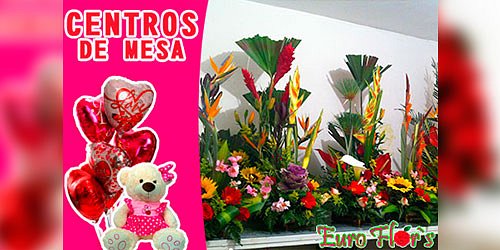 EURO FLOR´S