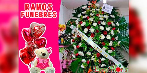 EURO FLOR´S