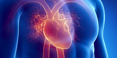 CARDIOLOGO CLINICO - DR. EDUARDO GUIZADO GAVILANES 