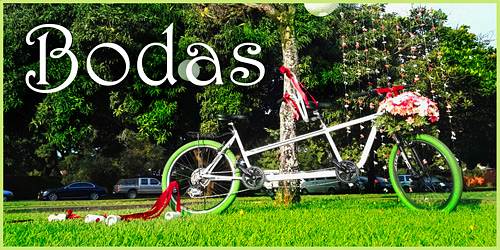 ALQUILER BICICLETAS DOBLES TANDEM ECOMOVIL