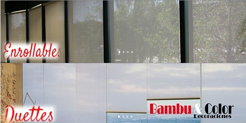BAMBU Y COLOR