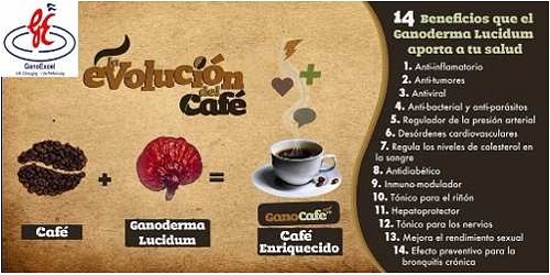 Negocios Ganoexcel Ganoderma Lucidum