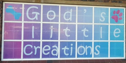 God's Little Creations