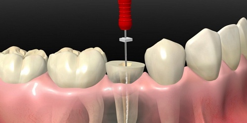 SERVICIOS ODONTOLOGICOS INTEGRALES